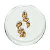 Image 1 : Gold Nuggets 1.91 Grams Total Weight