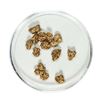 Image 1 : Gold Nuggets 3.19 Grams Total Weight