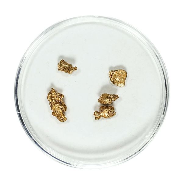 Gold Nuggets 1.56 Grams Total Weight