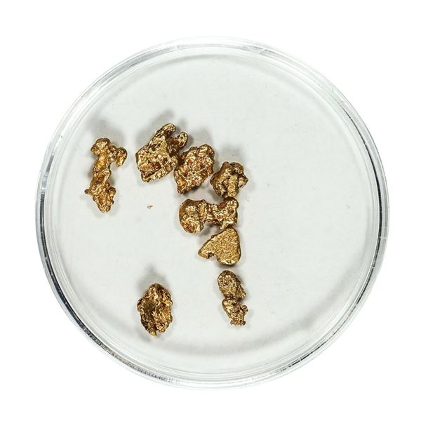 Gold Nuggets 2.34 Grams Total Weight