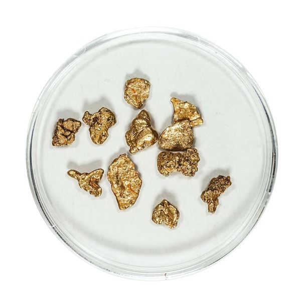 Gold Nuggets 2.44 Grams Total Weight