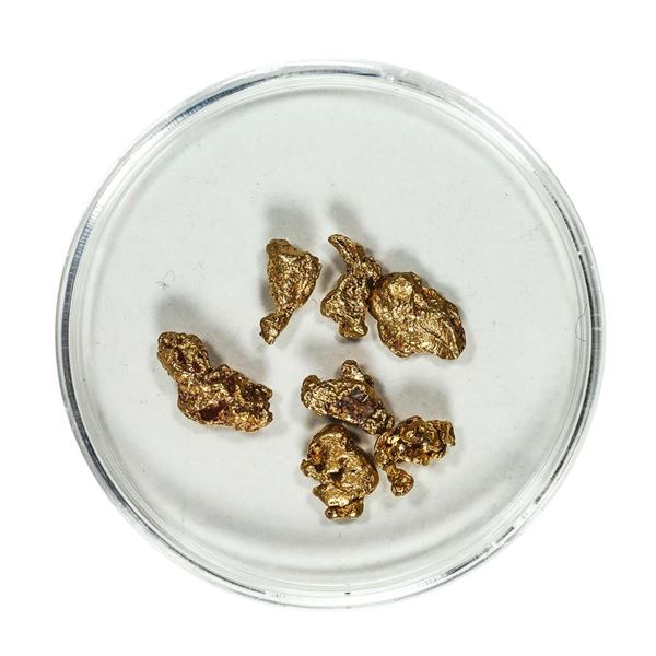 Gold Nuggets 3.82 Grams Total Weight