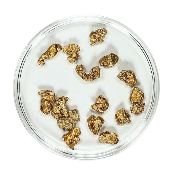 Gold Nuggets 4.49 Grams Total Weight