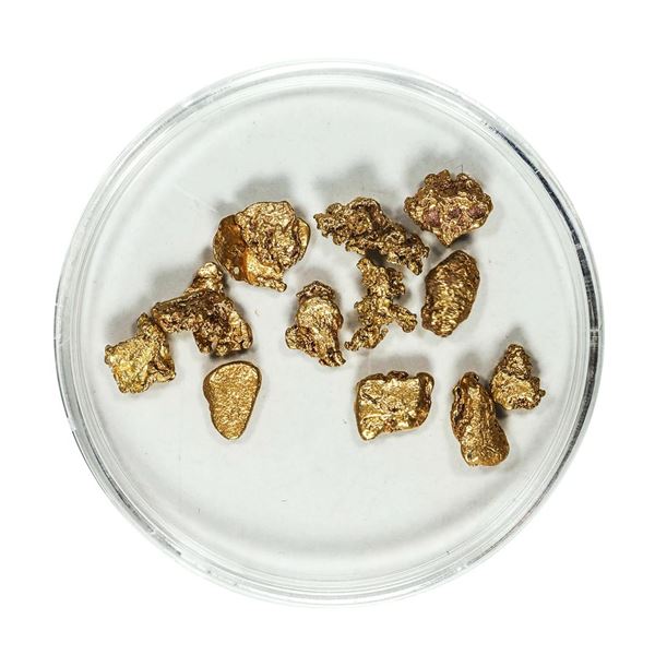 Gold Nuggets 4.22 Grams Total Weight