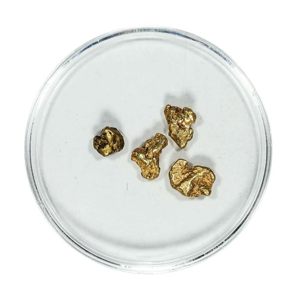 Lot of Gold Nuggets 2.45 Grams Total Weight