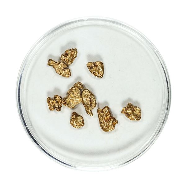 Gold Nuggets 2.38 Grams Total Weight