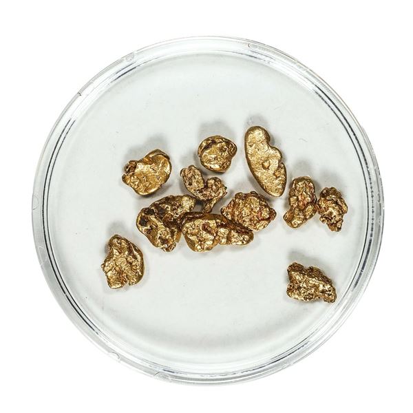Gold Nuggets 4.29 Grams Total Weight