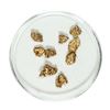 Image 1 : Gold Nuggets 2.45 Grams Total Weight