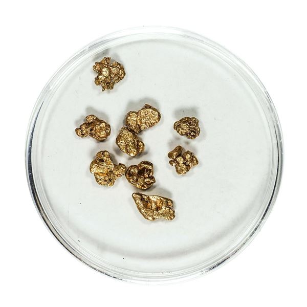 Gold Nuggets 2.42 Grams Total Weight