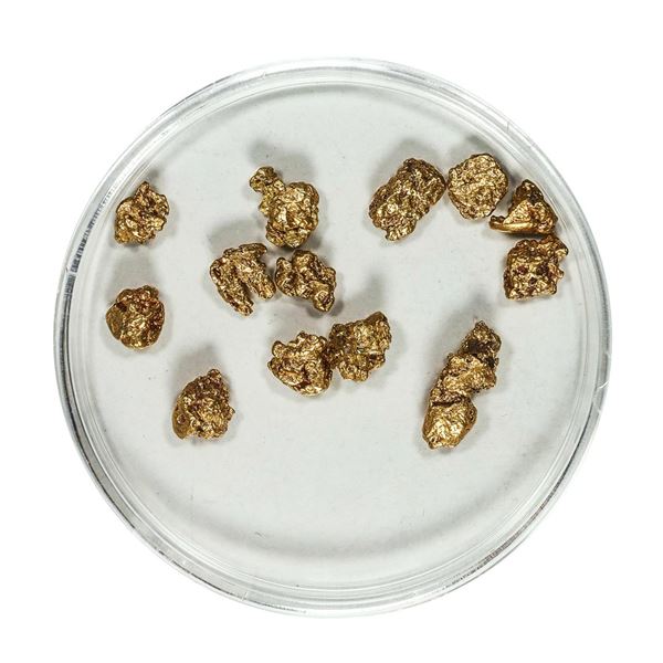 Gold Nuggets 4.36 Grams Total Weight