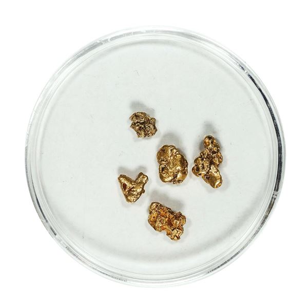 Gold Nuggets 1.83 Grams Total Weight