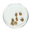 Image 1 : Gold Nuggets 2.00 Grams Total Weight