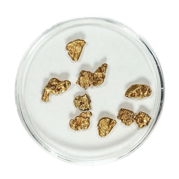 Gold Nuggets 3.18 Grams Total Weight