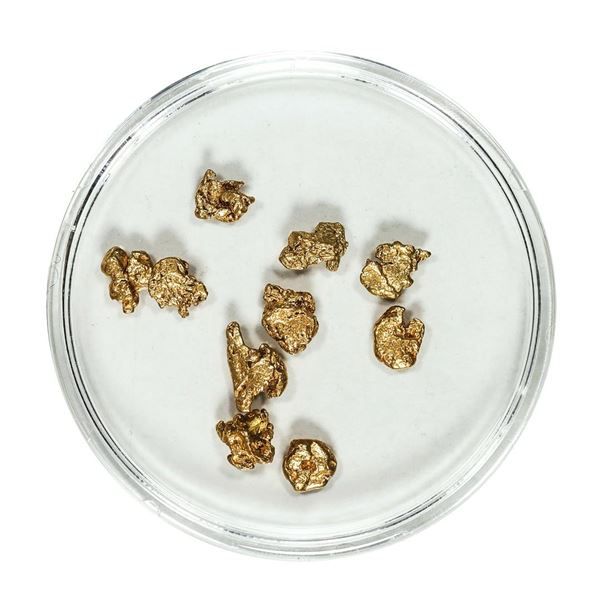 Gold Nuggets 2.55 Grams Total Weight