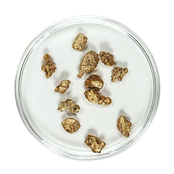 Gold Nuggets 4.16 Grams Total Weight