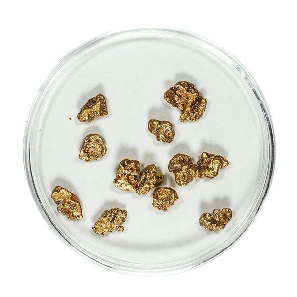 Gold Nuggets 3.31 Grams Total Weight