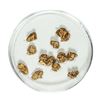 Image 1 : Gold Nuggets 3.31 Grams Total Weight