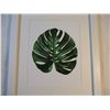 Image 2 : Plant Leaf Picture in White 15.75"x12.5"Frame