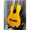 Image 3 : Hopf ACC Guitar w/ Hard Case