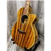 Image 3 : China ACC Guitar w/ Hard Case