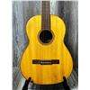 Image 5 : Giannini ACC Guitar w/ Soft Case