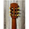 Image 9 : Giannini ACC Guitar w/ Soft Case