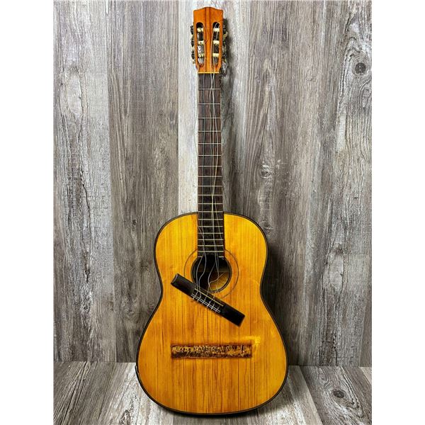 1970's Cordova AGTR - Damaged w/ Soft Case