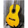 Image 3 : 2013 Vietnam Tsai ACC Guitar w/ Hard Case