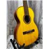 Image 4 : Giannini ACC Guitar w/ Soft Case