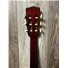 Image 9 : Giannini ACC Guitar w/ Soft Case