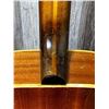 Image 13 : Panaramic ACC Guitar w/ Fender SC