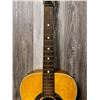 Image 15 : Panaramic ACC Guitar w/ Fender SC