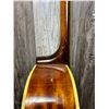 Image 19 : Panaramic ACC Guitar w/ Fender SC