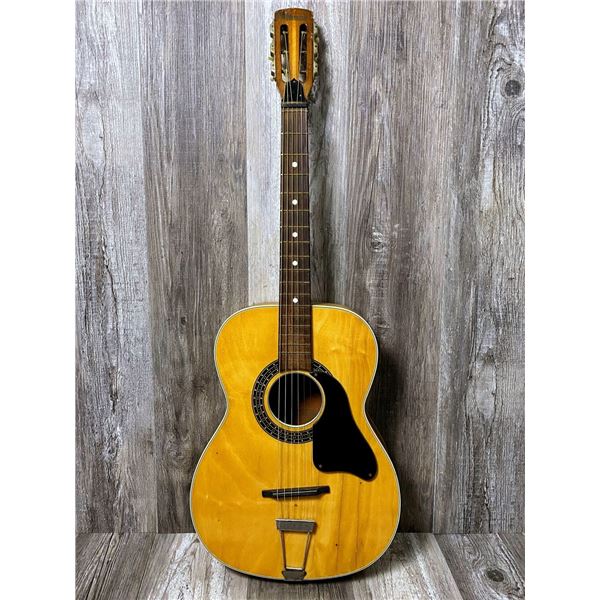 Panaramic ACC Guitar w/ Fender SC