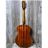 Image 2 : Panaramic ACC Guitar w/ Fender SC