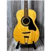Image 4 : Panaramic ACC Guitar w/ Fender SC