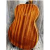 Image 7 : Panaramic ACC Guitar w/ Fender SC