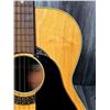 Image 9 : Panaramic ACC Guitar w/ Fender SC