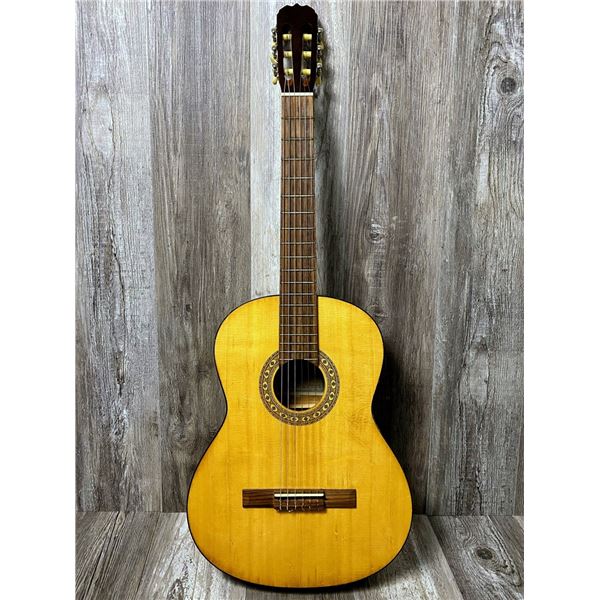 2006 Candelas ACC Guitar w/ Candelas SC