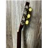 Image 8 : 2006 Candelas ACC Guitar w/ Candelas SC