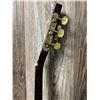 Image 8 : 1970's Espania AGTR - No Strings w/ Soft Case