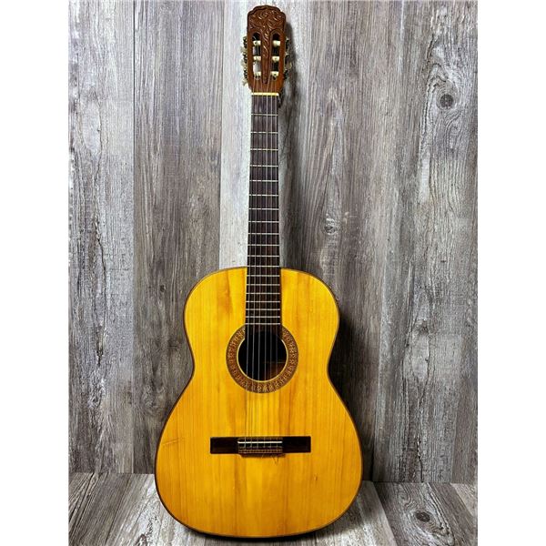 1970's Giannini Classical AGTR w/ Hard Case