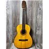 Image 1 : 1970's Giannini Classical AGTR w/ Hard Case