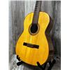 Image 3 : 1970's Giannini Classical AGTR w/ Hard Case