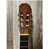 Image 7 : 1970's Giannini Classical AGTR w/ Hard Case