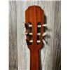 Image 9 : 1970's Giannini Classical AGTR w/ Hard Case