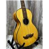 Image 4 : Vietnam Parlor ACC Guitar w/ Soft Case