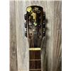Image 7 : Vietnam Parlor ACC Guitar w/ Soft Case