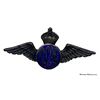 Image 2 : RCAF Sweetheart Pin Lot