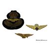 Image 1 : Lot of Airforce / Airborne Badges